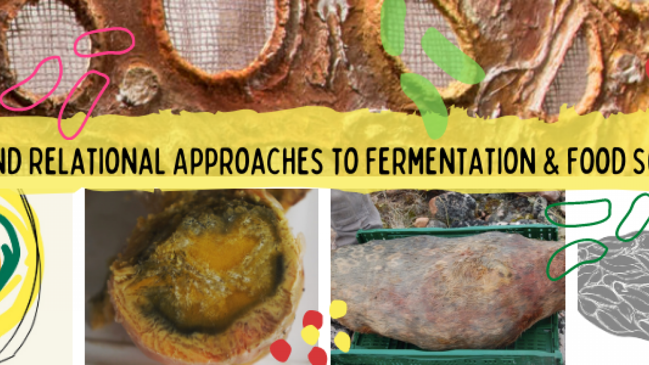 Radical and Relational Approaches to Fermentation and Food Soveriegnty