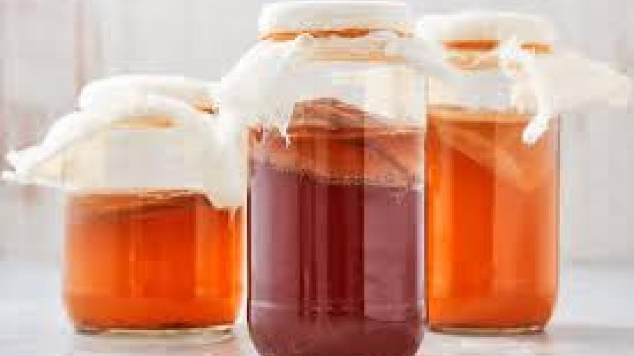 kombucha jars