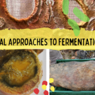 Radical and Relational Approaches to Fermentation and Food Soveriegnty